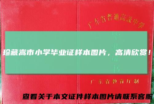 珍藏嵩市小学毕业证样本图片，高清欣赏！