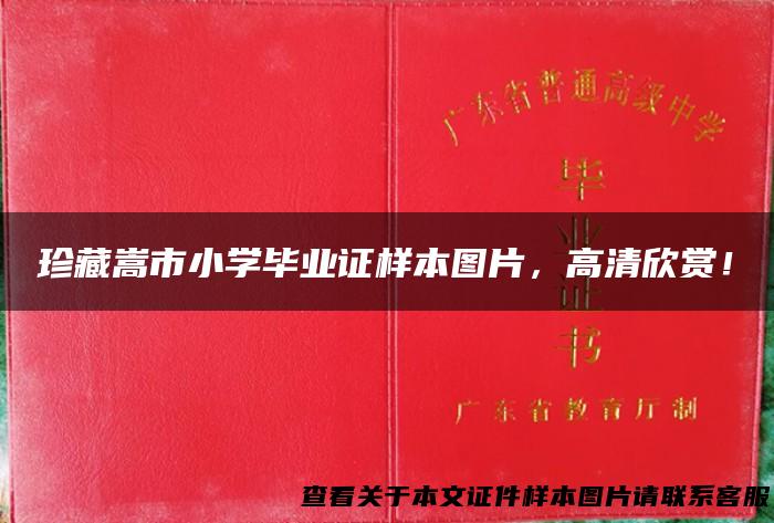 珍藏嵩市小学毕业证样本图片，高清欣赏！