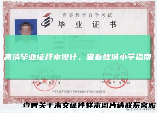 高清毕业证样本设计，查看鲤城小学指南