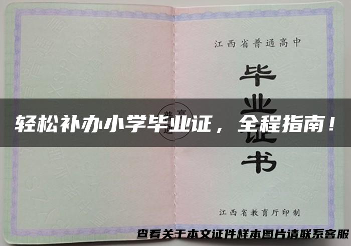 轻松补办小学毕业证，全程指南！