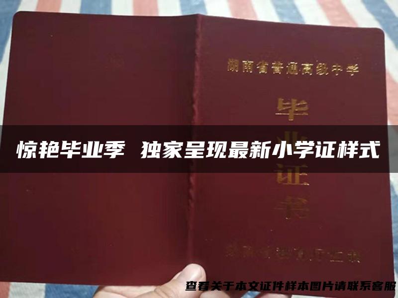 惊艳毕业季 独家呈现最新小学证样式