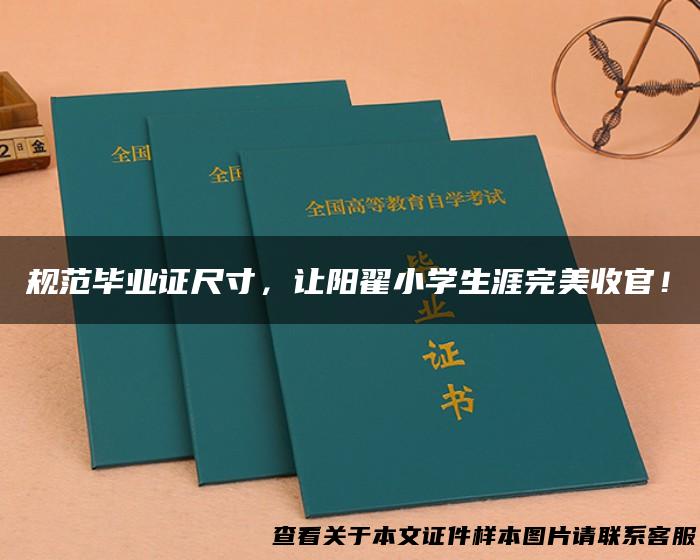 规范毕业证尺寸，让阳翟小学生涯完美收官！