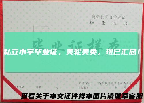 私立小学毕业证，美轮美奂，现已汇总！