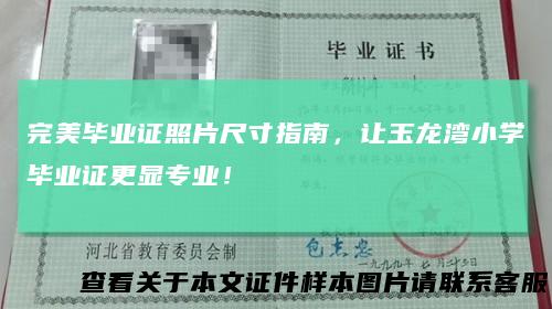 完美毕业证照片尺寸指南，让玉龙湾小学毕业证更显专业！