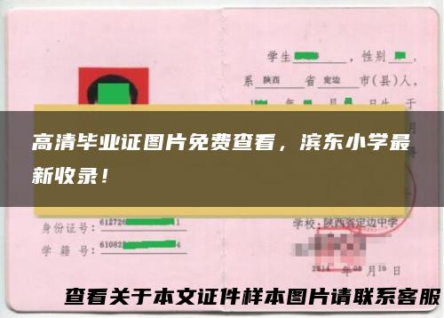 高清毕业证图片免费查看，滨东小学最新收录！