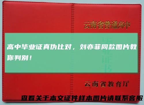 高中毕业证真伪比对，刘亦菲同款图片教你判别！