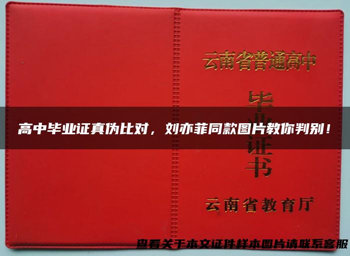 高中毕业证真伪比对，刘亦菲同款图片教你判别！