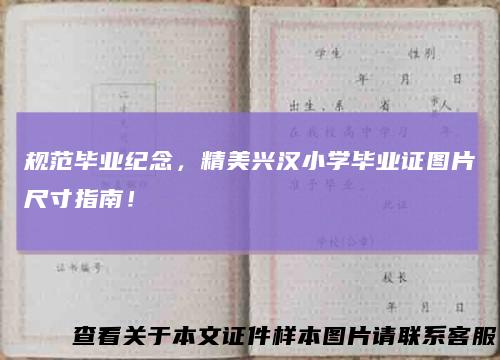 规范毕业纪念，精美兴汉小学毕业证图片尺寸指南！