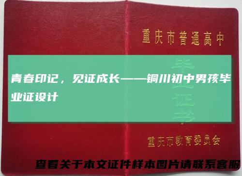 青春印记，见证成长——铜川初中男孩毕业证设计