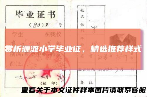 赏析源滩小学毕业证，精选推荐样式