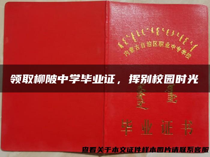 领取柳陂中学毕业证，挥别校园时光