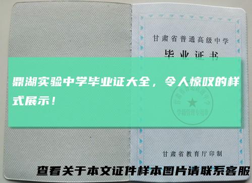 鼎湖实验中学毕业证大全，令人惊叹的样式展示！