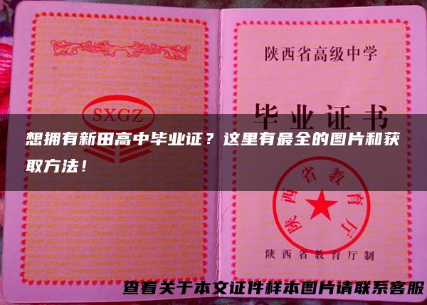 想拥有新田高中毕业证？这里有最全的图片和获取方法！