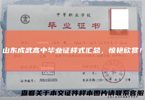 山东成武高中毕业证样式汇总，惊艳欣赏！