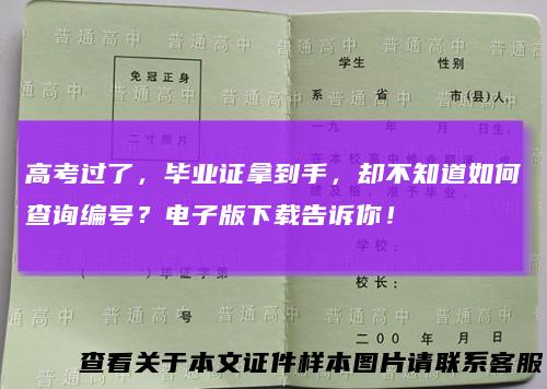 高考过了，毕业证拿到手，却不知道如何查询编号？电子版下载告诉你！