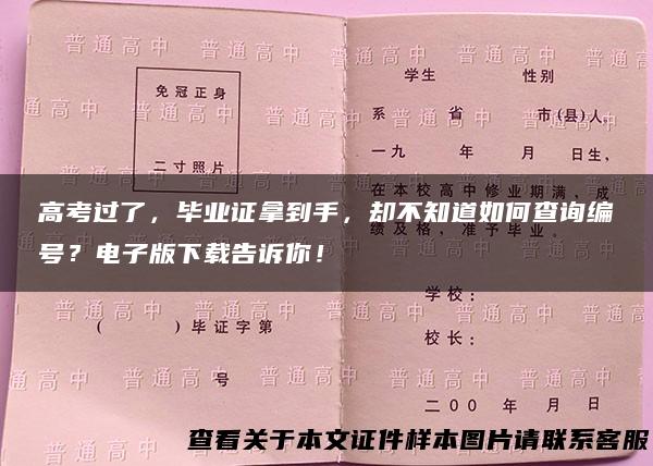 高考过了，毕业证拿到手，却不知道如何查询编号？电子版下载告诉你！
