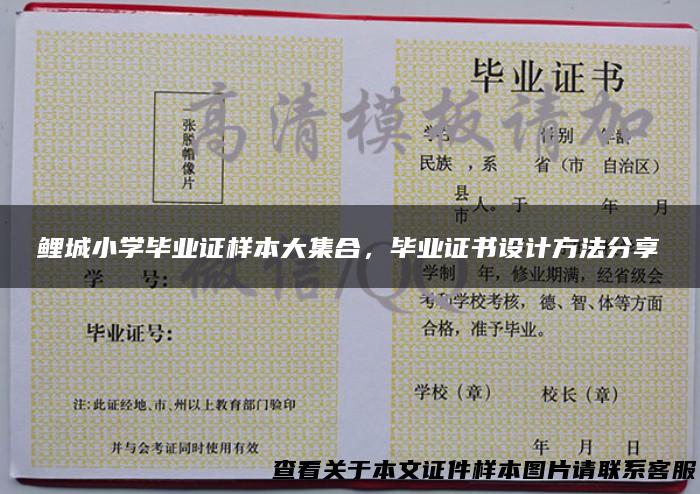 鲤城小学毕业证样本大集合，毕业证书设计方法分享