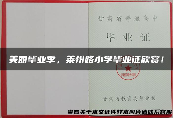 美丽毕业季，莱州路小学毕业证欣赏！