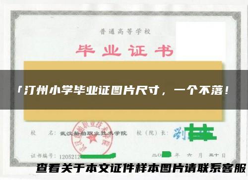 「汀州小学毕业证图片尺寸，一个不落！」