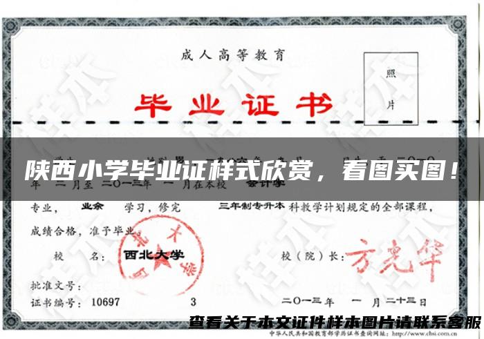 陕西小学毕业证样式欣赏，看图买图！