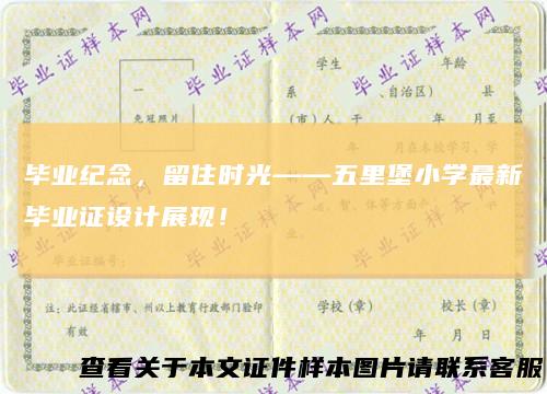 毕业纪念，留住时光——五里堡小学最新毕业证设计展现！