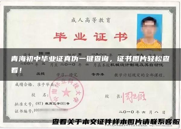 青海初中毕业证真伪一键查询，证书图片轻松查看！