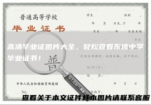 高清毕业证图片大全，轻松查看东流中学毕业证书！