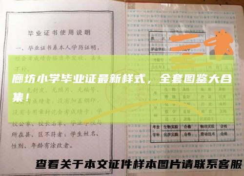 廊坊小学毕业证最新样式，全套图鉴大合集！