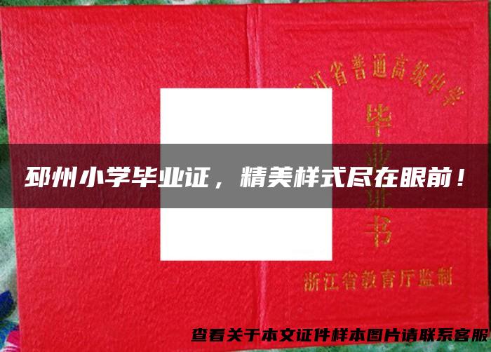 邳州小学毕业证，精美样式尽在眼前！
