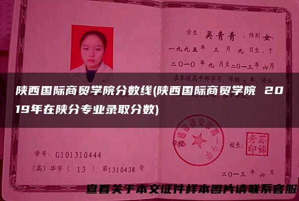 陕西国际商贸学院分数线(陕西国际商贸学院 2019年在陕分专业录取分数)