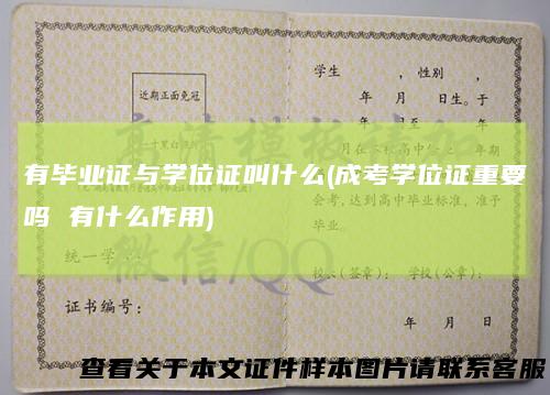 有毕业证与学位证叫什么(成考学位证重要吗 有什么作用)