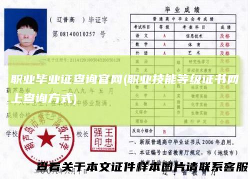 职业毕业证查询官网(职业技能等级证书网上查询方式)