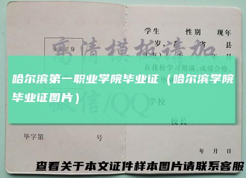 哈尔滨第一职业学院毕业证（哈尔滨学院毕业证图片）
