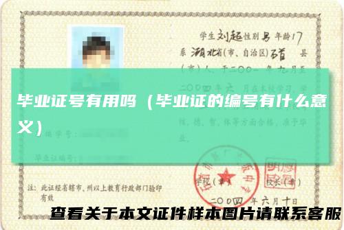 毕业证号有用吗（毕业证的编号有什么意义）