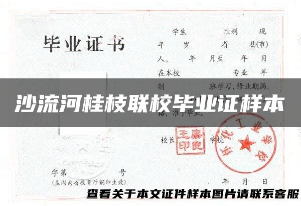 沙流河桂枝联校毕业证样本