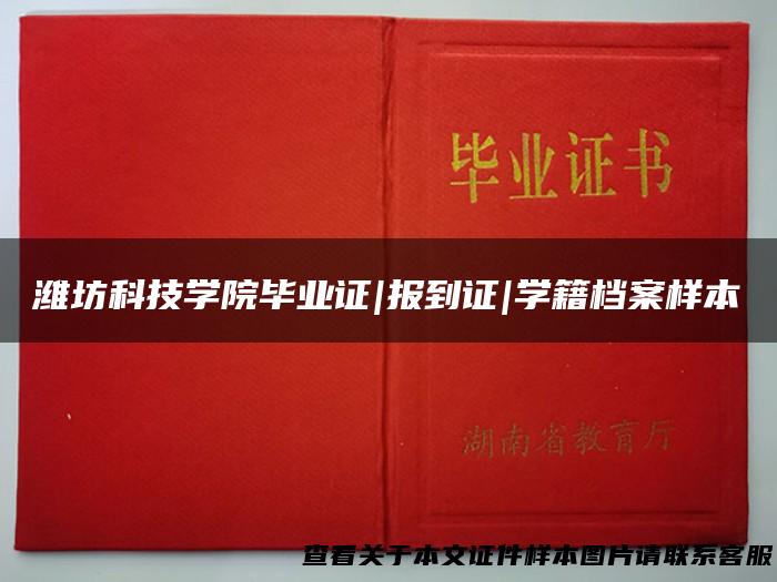 潍坊科技学院毕业证|报到证|学籍档案样本