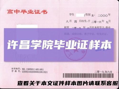 许昌学院毕业证样本