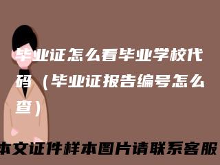 毕业证怎么看毕业学校代码（毕业证报告编号怎么查）