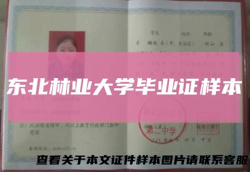 东北林业大学毕业证样本