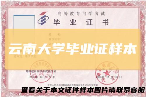 云南大学毕业证样本