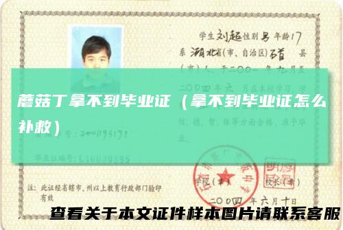蘑菇丁拿不到毕业证(拿不到毕业证怎么补救)
