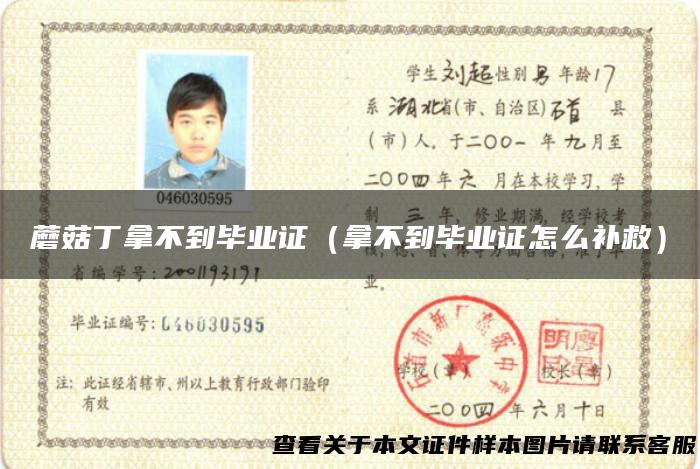 蘑菇丁拿不到毕业证（拿不到毕业证怎么补救）