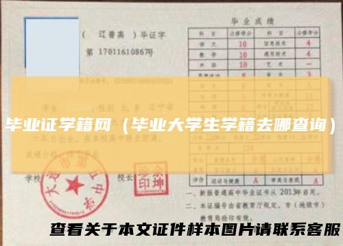 毕业证学籍网（毕业大学生学籍去哪查询）