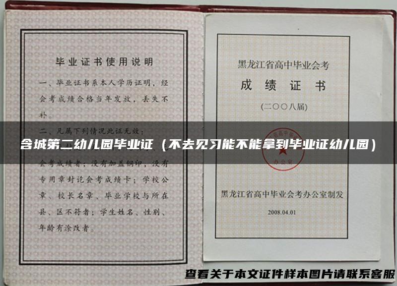 含城第二幼儿园毕业证（不去见习能不能拿到毕业证幼儿园）