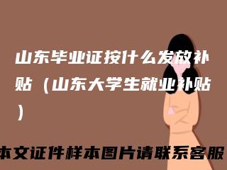 山东毕业证按什么发放补贴（山东大学生就业补贴）