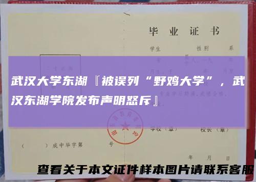 武汉大学东湖『被误列“野鸡大学”，武汉东湖学院发布声明怒斥』