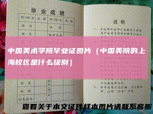 中国美术学院毕业证图片（中国美院的上海校区是什么级别）