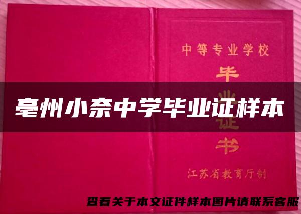 亳州小奈中学毕业证样本