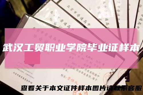 武汉工贸职业学院毕业证样本