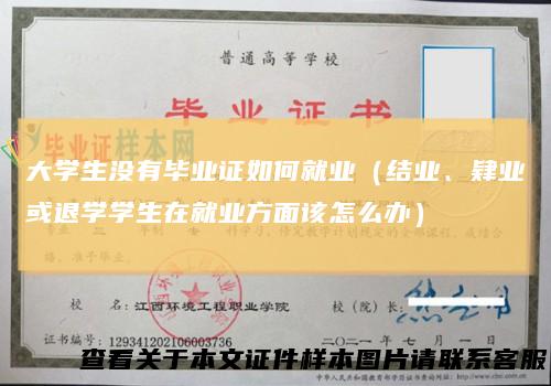 大学生没有毕业证如何就业（结业、肄业或退学学生在就业方面该怎么办）